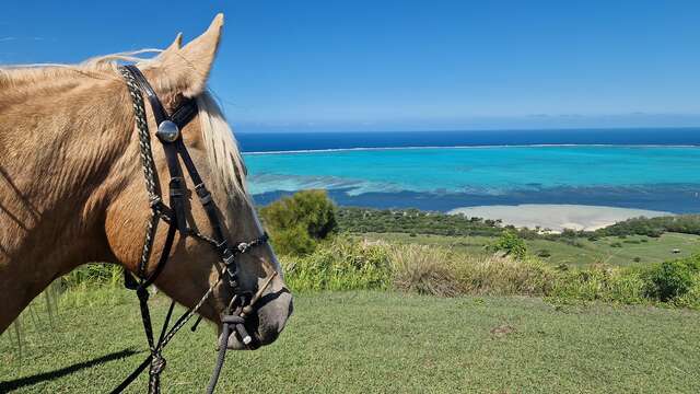 Half-day Horse Riding - Far West Ranch Deva