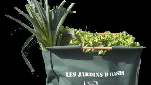 Marché bio - Jardins d'Oasis