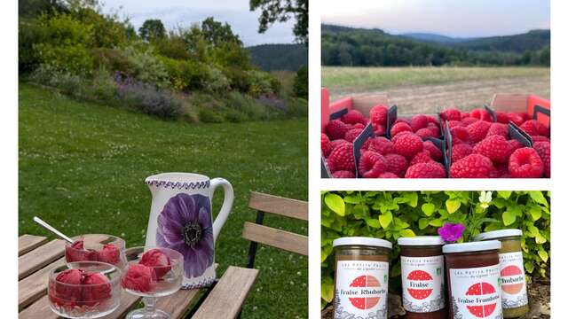 Les Petits Fruits du Lignon