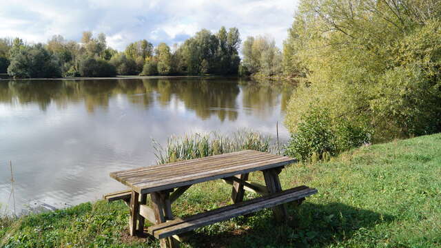 Aire de pique-nique - Bords de Loire