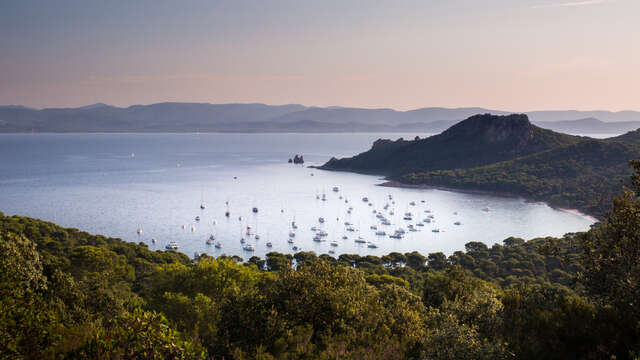 Ile de Porquerolles