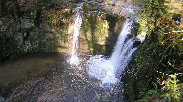 Follaton path