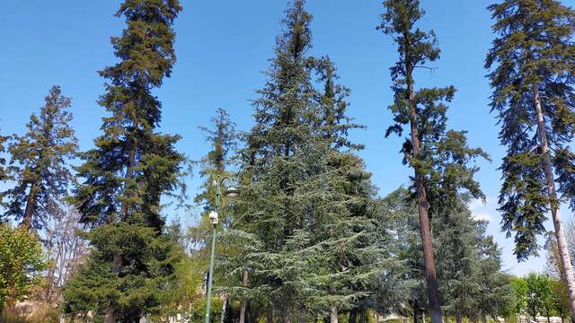 Parc thermal