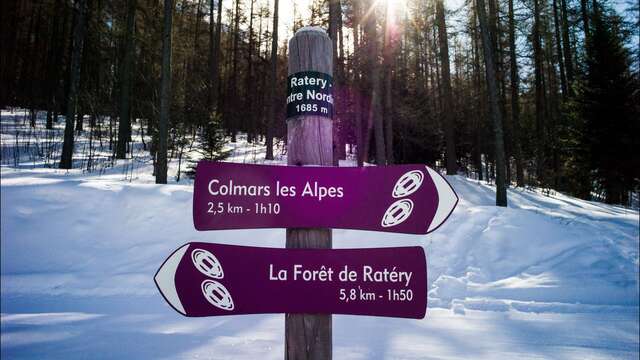 Forêt de Ratery