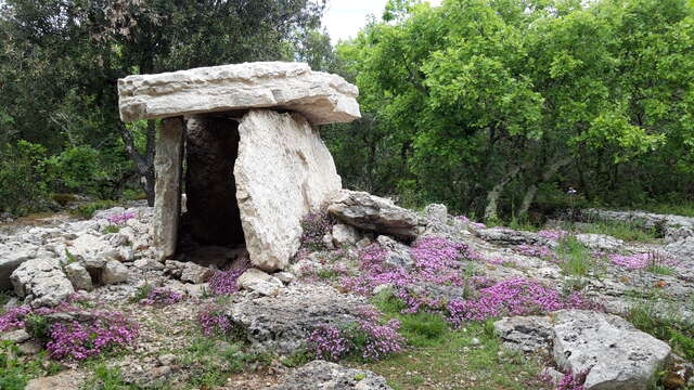 Aven d'Orgnac - Les conférences de la Cité  - Les dolmens, une pratique funéraire de la fin du Néolithique