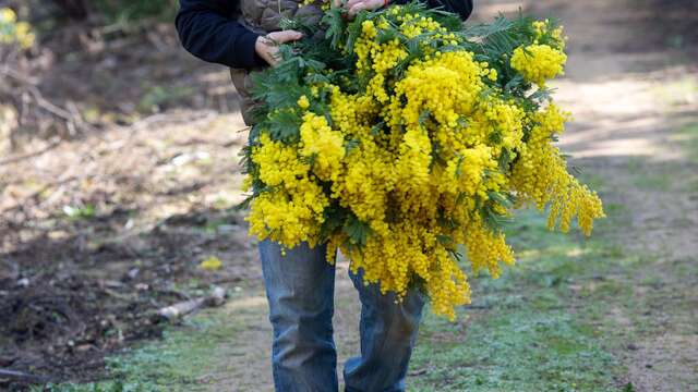 Visite de la passion - bouquets et PARFUM - Chemins parfumés UNESCO