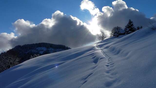 Tagesausflug auf Schneeschuhen