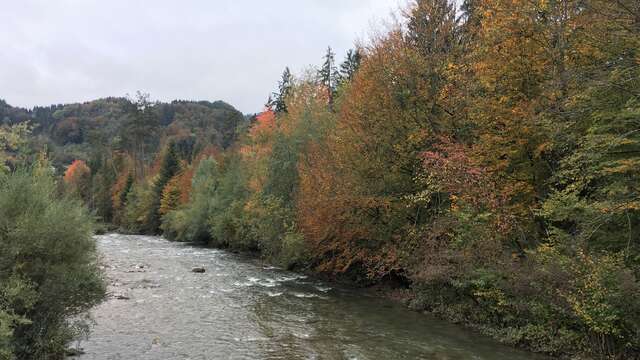 Fishing on Foron river