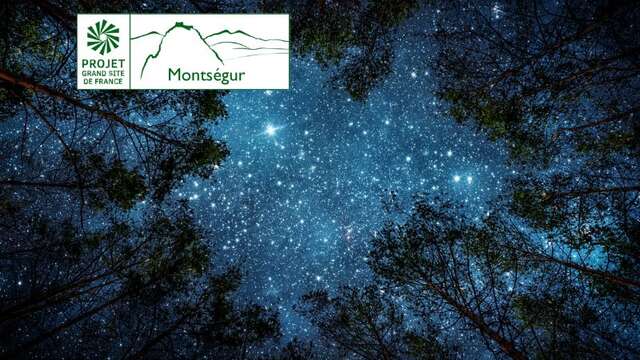 La nuit des étoiles