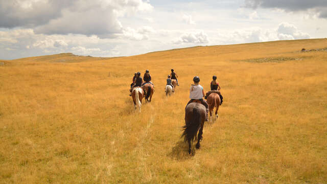 Ferme équestre Les Chevaux de Roquépine