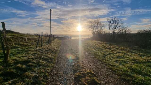 VTTAE circuit n°9 and 10 Mont Myon - Plateau de Vergongeat