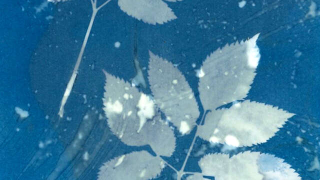 Au labo du Château : I've got the bleu !