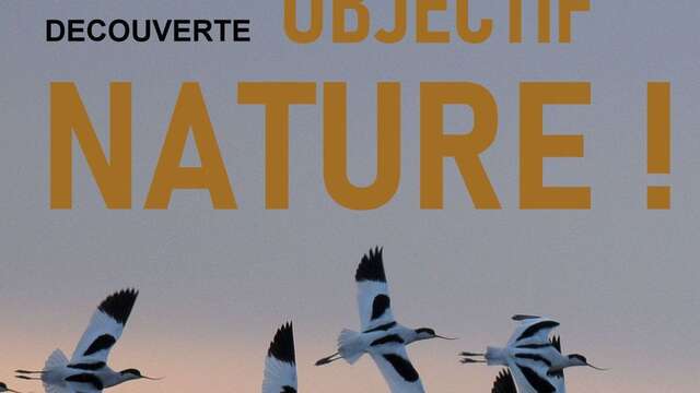Sortie « Objectif Nature » - Marais d'Ars-en-Ré