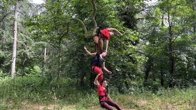 Atelier d'initiation "Danse et architecture" - Hautes Envolées
