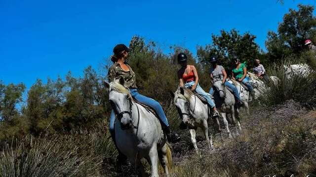 Visite guidée à cheval de la manade Coule