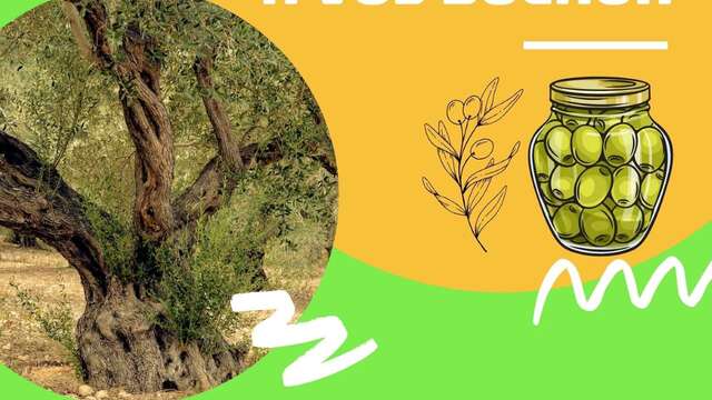 Nature discovery workshop: Get your jars ready!