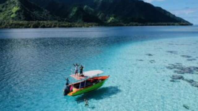 Teahupoo Tours And Surf Adventures - Sortie baleines