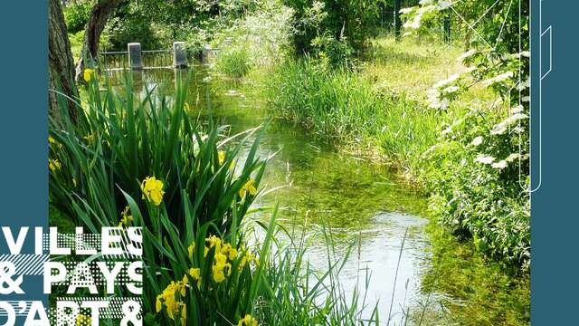 Visite guidée : le quartier de Châteauvert, site patrimonial remarquable