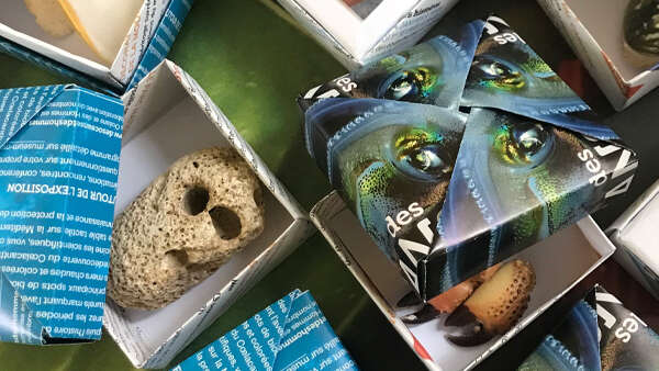 Petits jeux Muséum de l'été "Mers et océans"