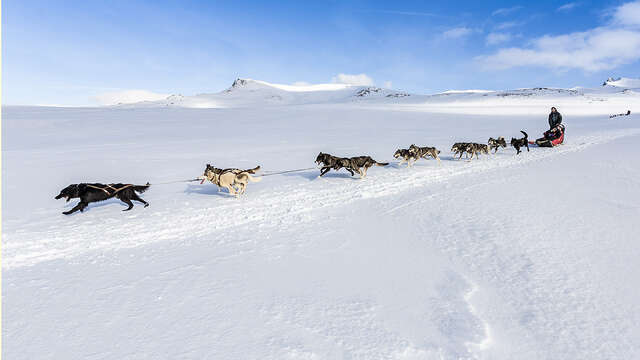 Auvergne Traîneau - Charlannes
