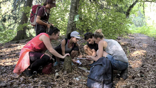 The family treasure hunt