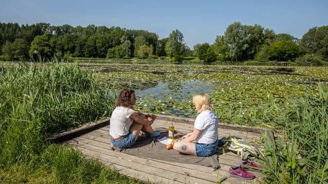 Lac du Môle