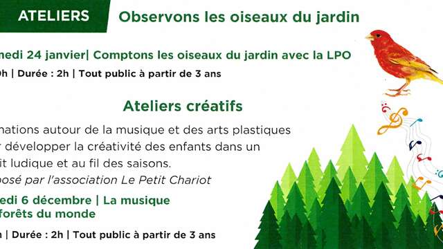 Workshops at the media library