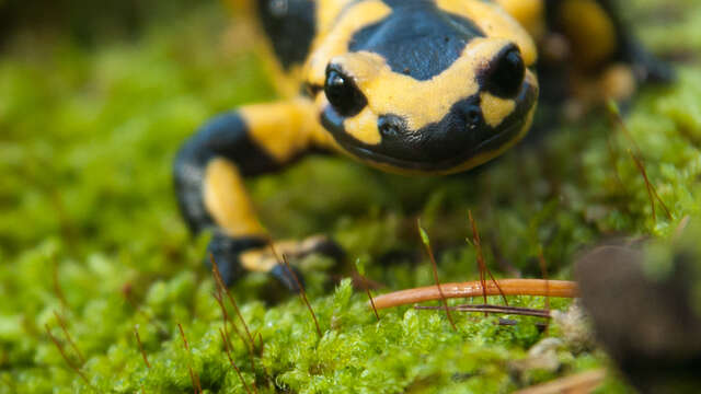 Expérimentons la nature