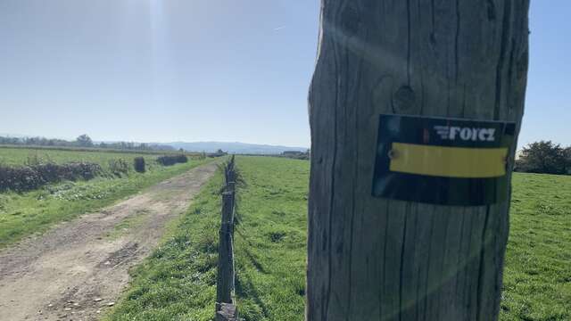 Circuit des Balmes