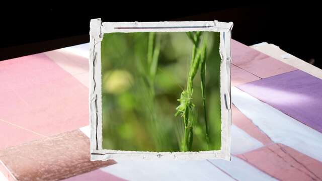 Ausstellung: „Lichtchoreografie“