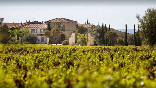 Château de Beaucastel - Famille Perrin