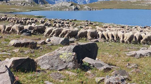 Bergerie La Coursaline