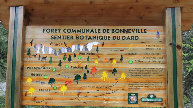 The Dard botanic path