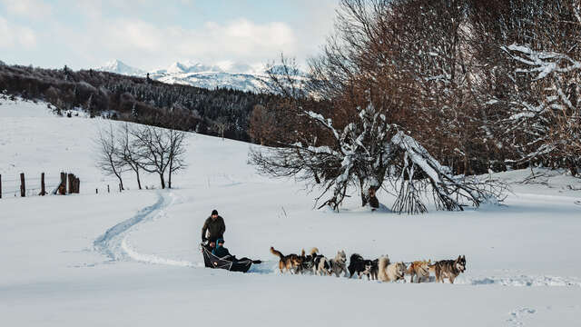 Baptême en grand attelage avec Terre Sauvage