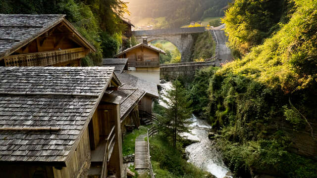 Les Vieux Moulins de la Tine