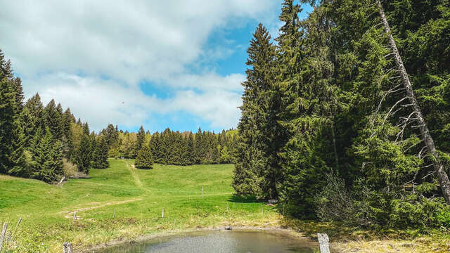 Rundweg zu Fuß : l'Alpage de l'Iselet