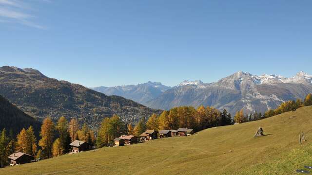 La Tzoumaz - Prarion par le bisse de Saxon