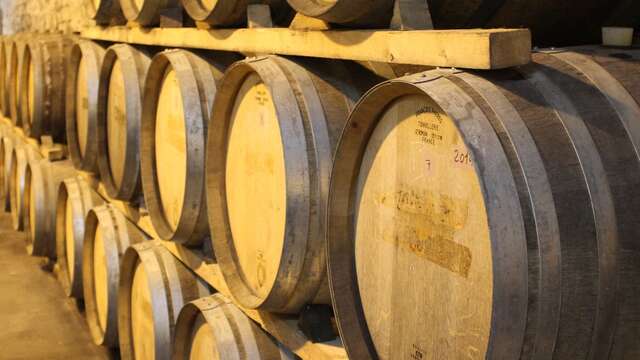 Visite de la cave - Rhonéa Cave de Rasteau