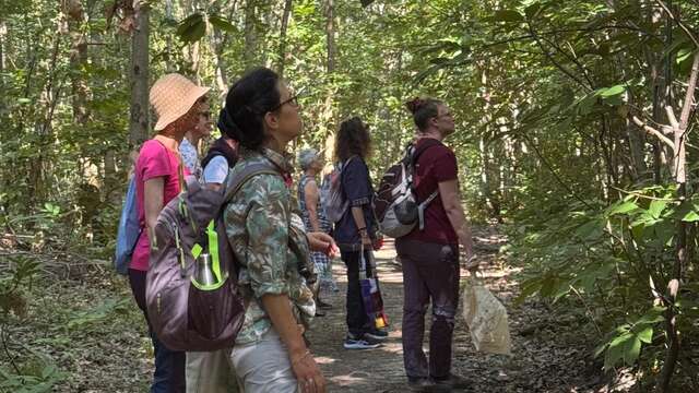 Bain de forêt - sylvothérapie