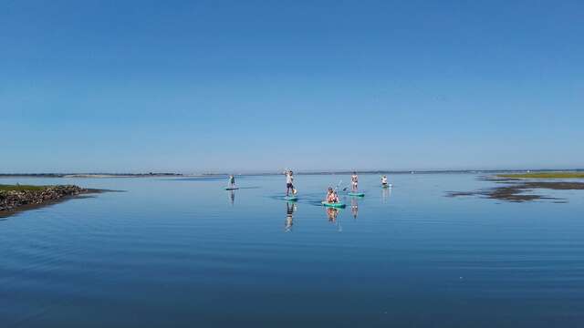 Randonnée en stand-up paddle dans les espaces naturels par Sup Évasion à Loix