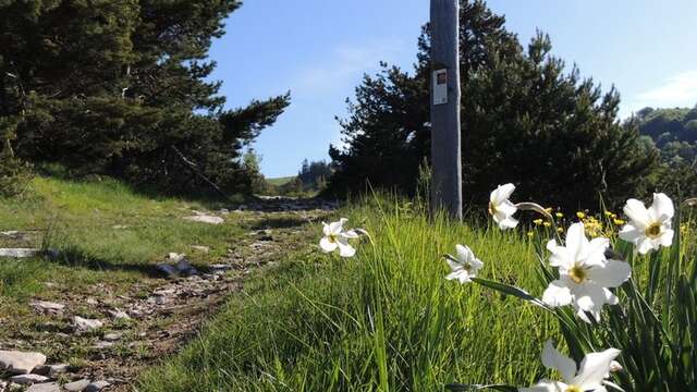 Randonnée Le Sentier des planètes