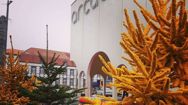 Room rental cinéma Arcadia