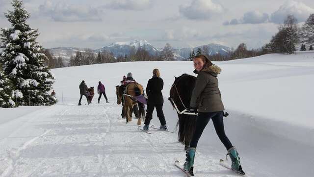 Séance de ski-Joëring