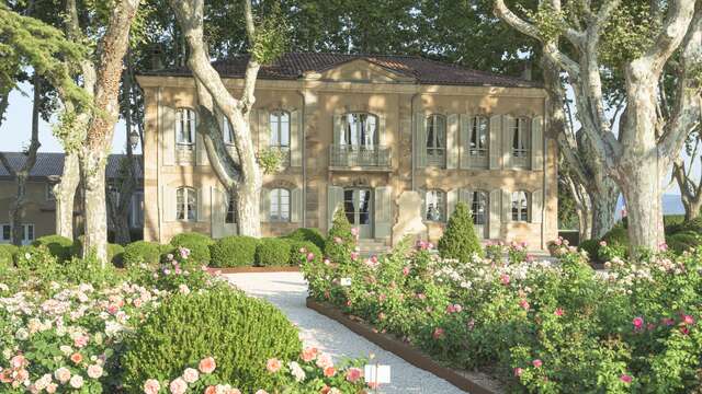 Guided tour - The art of rosé at Château la Gordonne