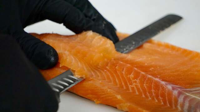 Les Truites de L'Isle sur la Sorgue