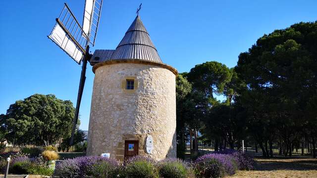 Le moulin à vent de Bertoire