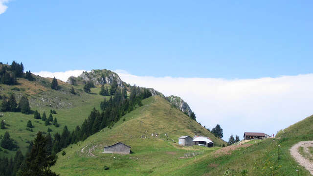 Randonnée "Les Chalets de Pertuis"