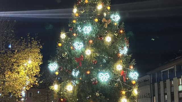 Illumination du sapin de Noël