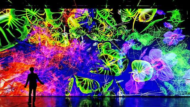 Exposition : Digital Floralia de Miguel Chevalier
