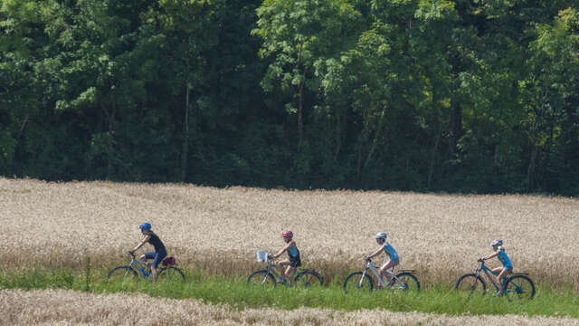 Cycling loop: Circuit du Bas Chablais